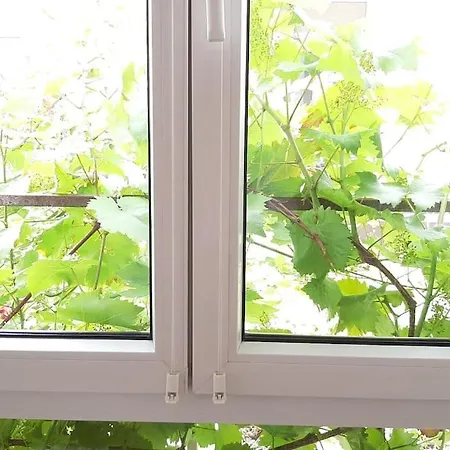 Familienfreundliche Am Park - Family Close To A Park شقة فورتسبورغ